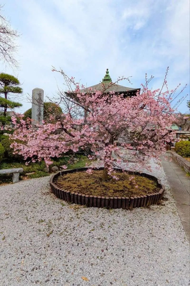 ⛩️ 사야마 신사 (사야마진자) 이미지 8